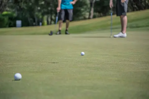 A manicured golf putting green, showing the fine, dense, very-low-cut bentgrass playing surface